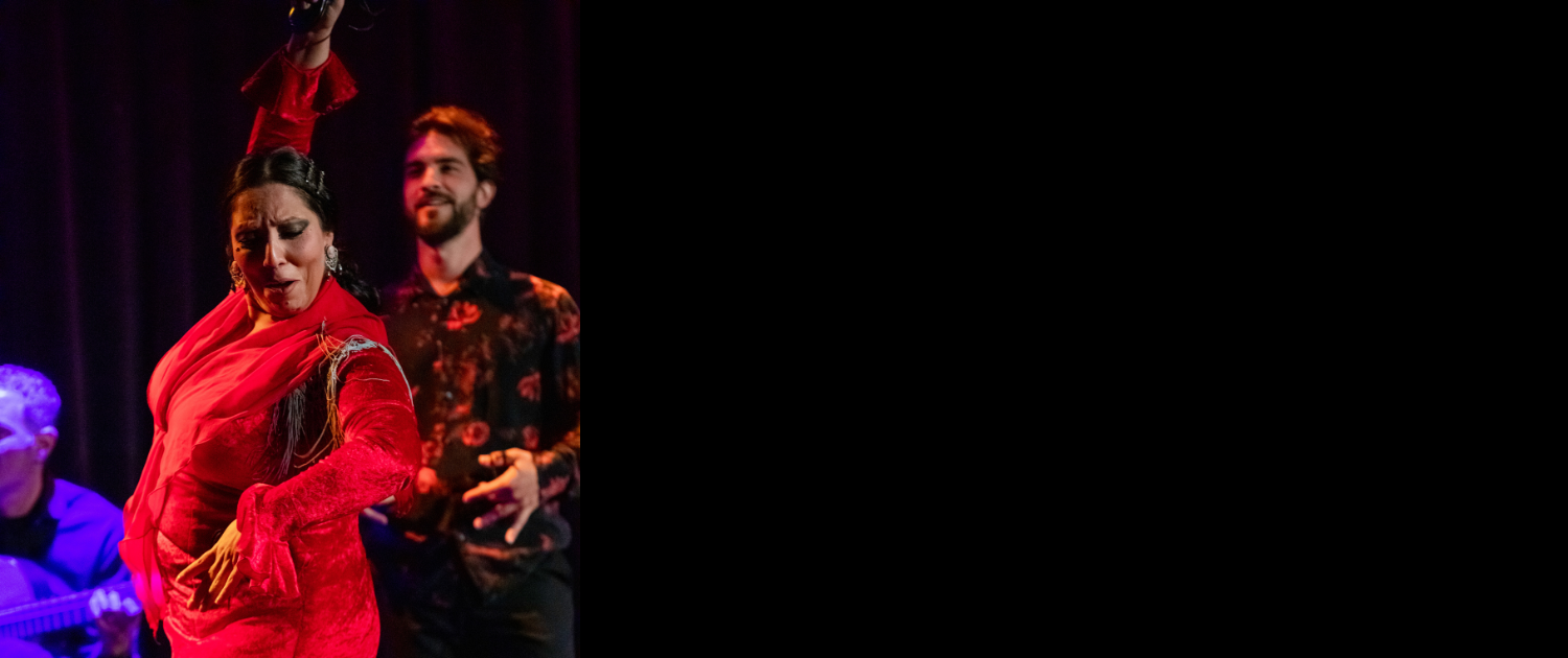 Website Home slider (10)