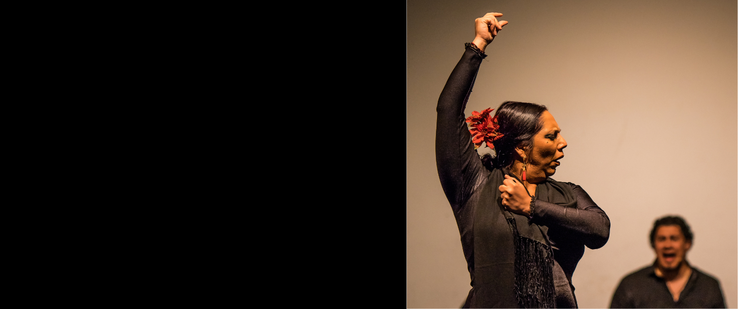 Website Home slider (11)